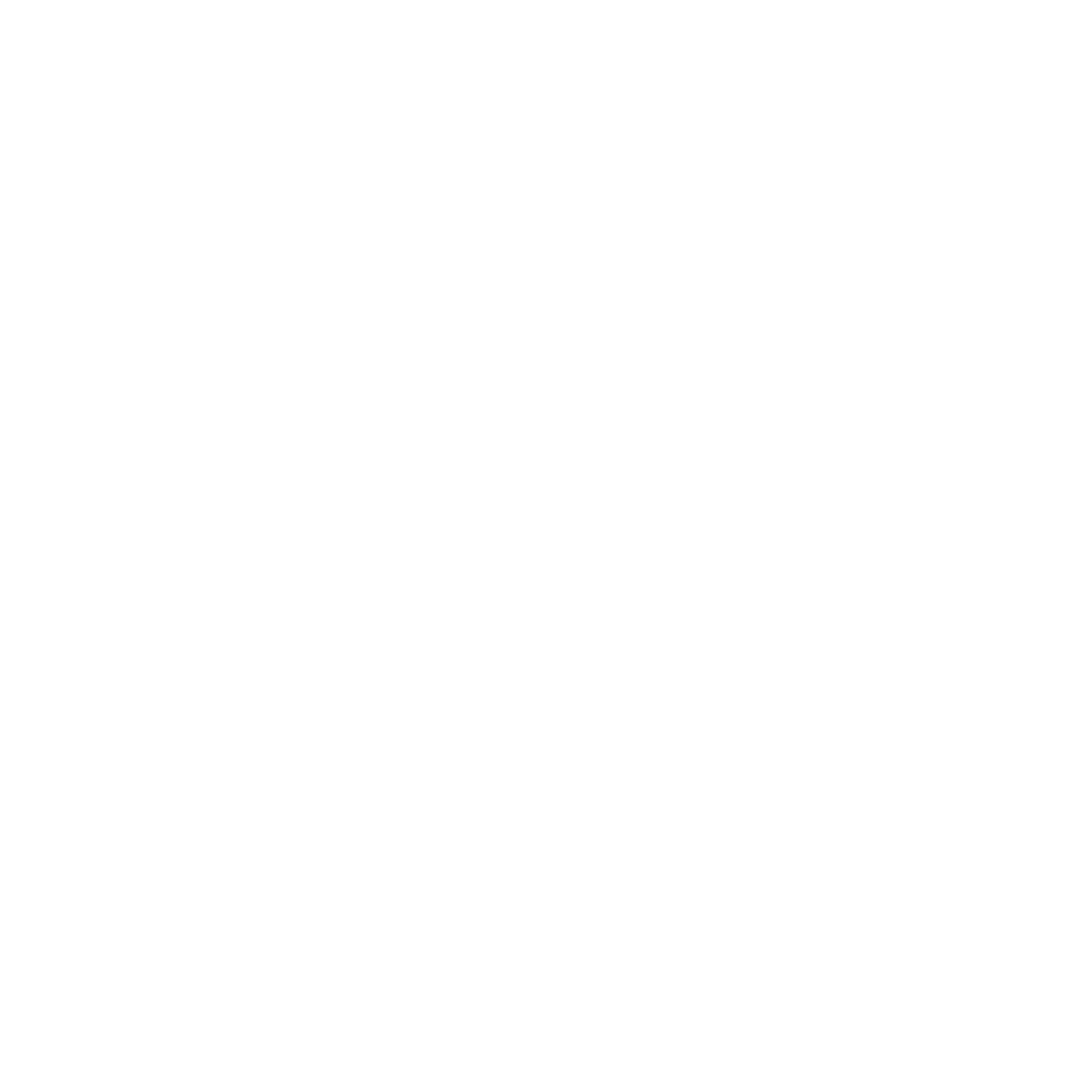 White Logo